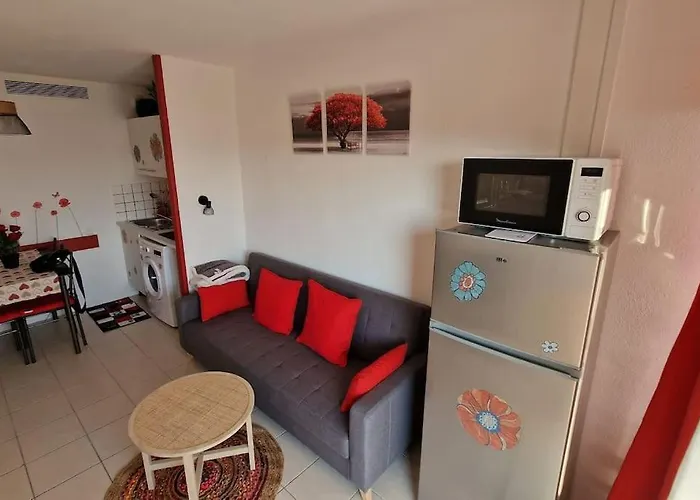 Magnifique Appartement Vue Mer Parking Piscine Plage Climatise
